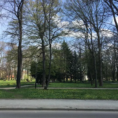 Apartman Zc *