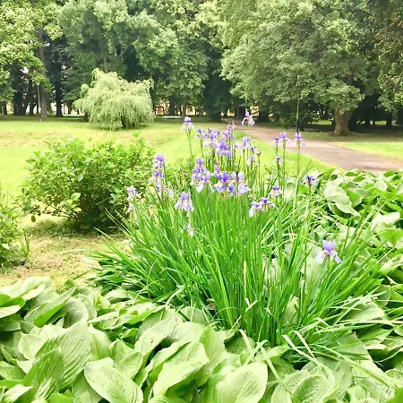 Zc Lejlighed Rzeszów