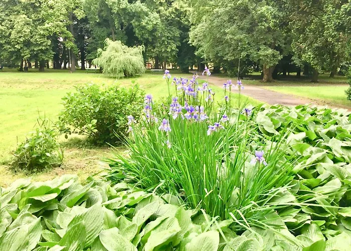 Zc Appartement Rzeszów